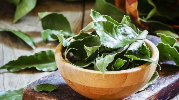 Hilangkan Tumor Dengan Obat Herbal