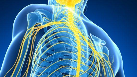 Bahaya Syaraf Kejepit Jika Tidak Segera Di Atasi