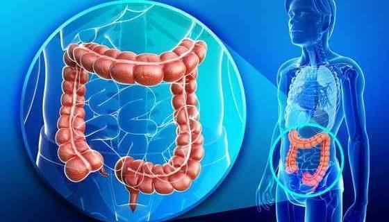 Gejala Dan Penyebab Kanker Usus Besar Yang Perlu Diketahui