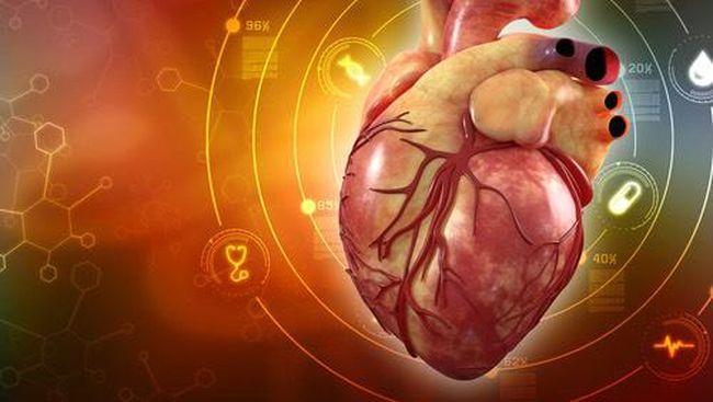 Pengobatan Sehat Ala Rasulullah