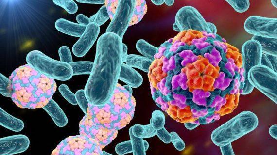 Gejala Hepatitis Yang Wajib Di Ketahui