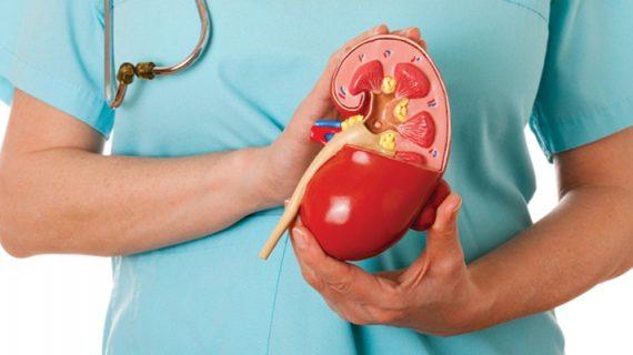 Mendiagnosis Serta Cara Pengobatan Nefritis