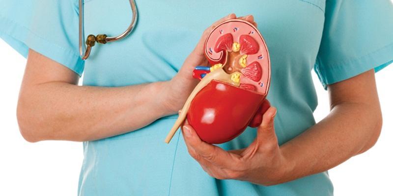 Mendiagnosis Serta Cara Pengobatan Nefritis