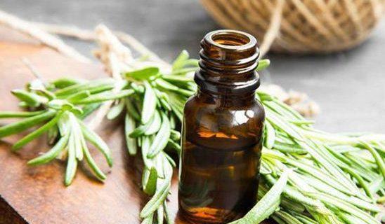 Pengobatan Syaraf Kejepit (HNP) dan Jantung dengan Akar-akaran