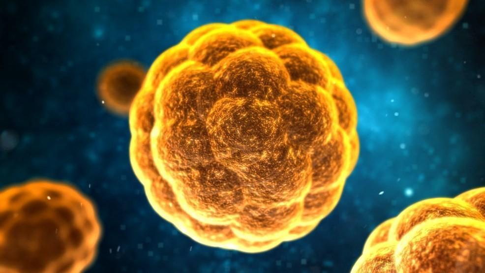 Mengenali Jenis-Jenis Hepatitis