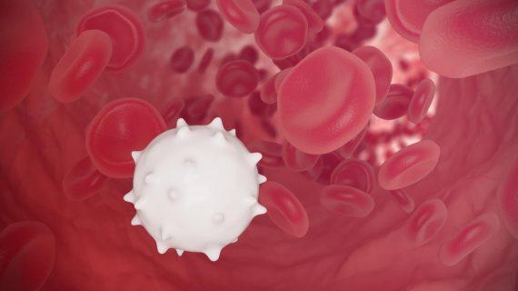 Kenali Gejala dari Munculnya Penyakit  Leukopenia