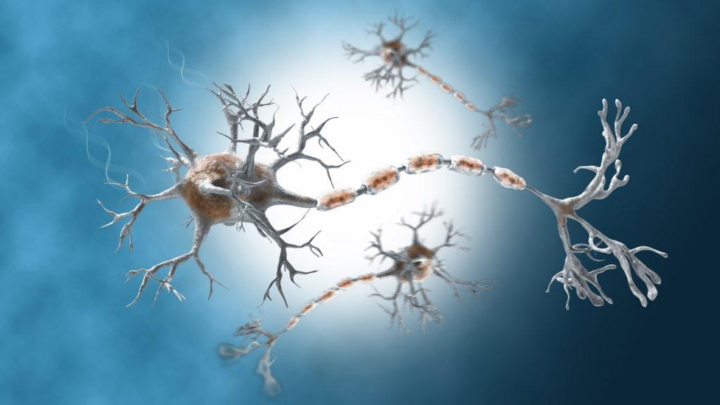 Mengenal Terapi GBS Guillain Barre Syndrome Yang Baik dan Tepat