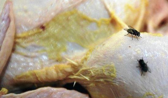 Penyebab Tipes yang Perlu Diperhatikan