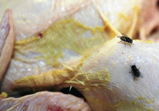 Penyebab Tipes yang Perlu Diperhatikan