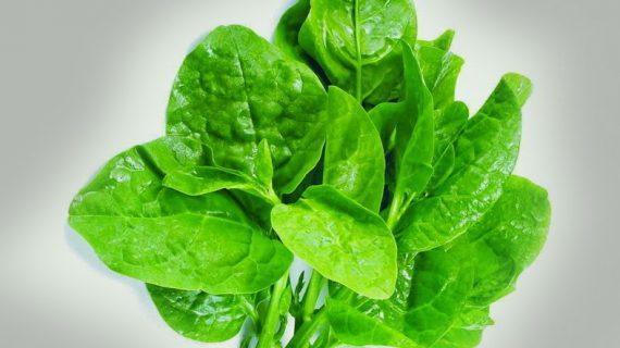 Jenis Makanan Yang Ampuh  Atasi  Penyempitan Pembuluh Darah Jantung