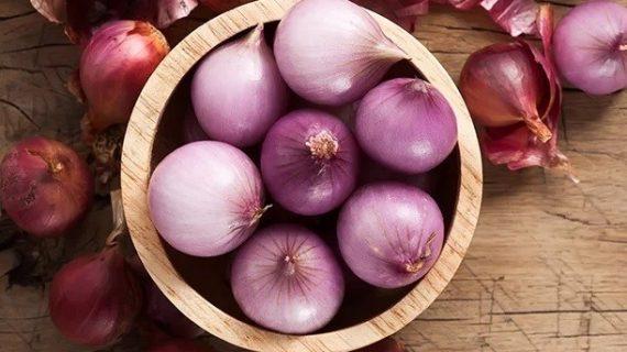 Obat Tradisional Alami Yang Ampuh Untuk Mengatasi Sakit Pinggang