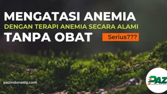Mengatasi Anemia dengan Terapi Anemia Secara Alami Tanpa Obat