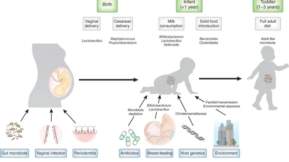 Persalinan Normal vs Caesar: Apa Saja yang Terjadi Saat Bayi Lahir?