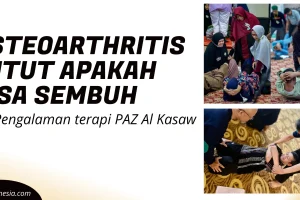 Pengobatan osteoarthritis lutut apakah bisa sembuh paz al kasaw