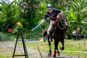 lomba memanah berkuda kejurnas pordasi seleksi atlet berkuda memanah pordasi