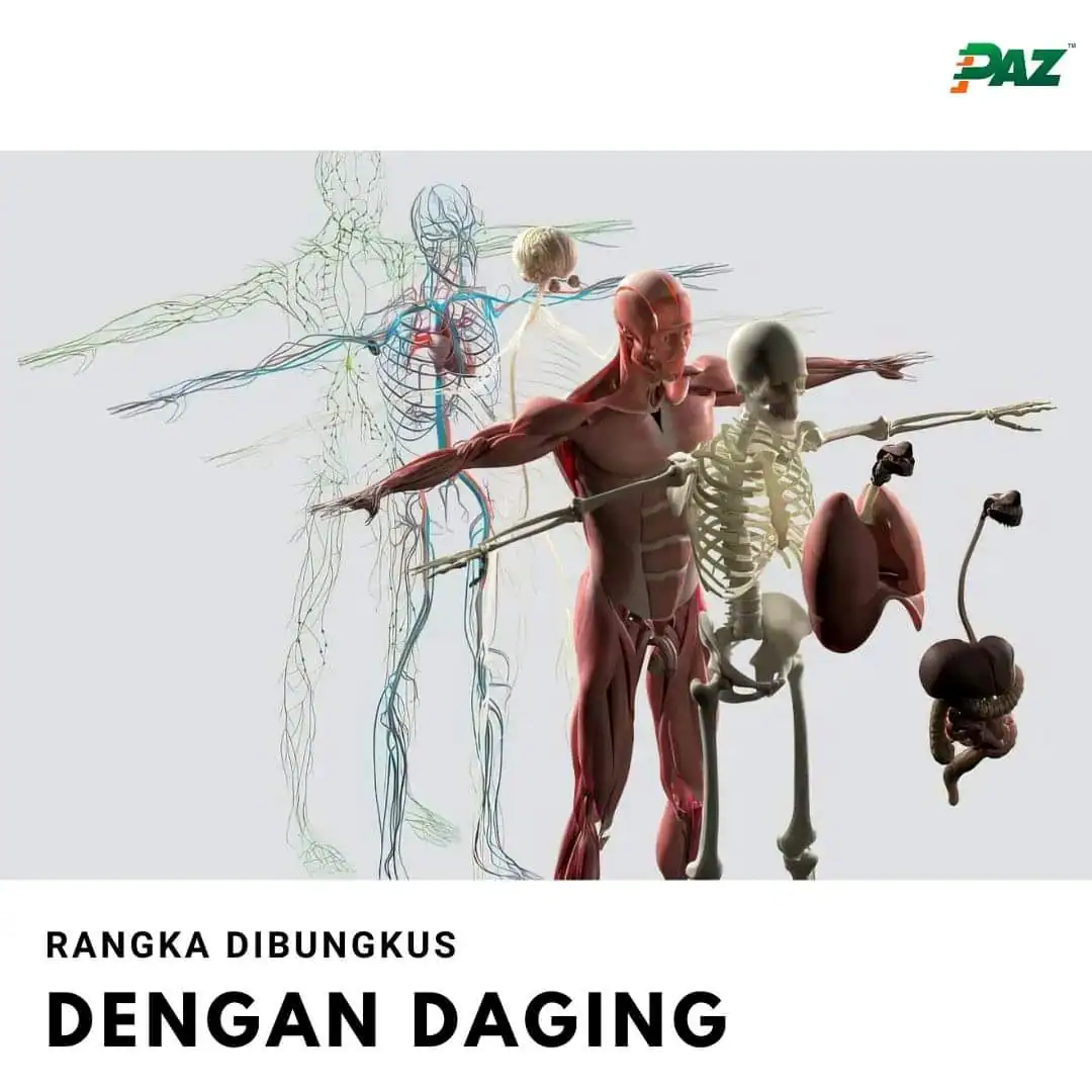 webp_Kenceng Kendor Melintir Kombinasi Terapi PAZ