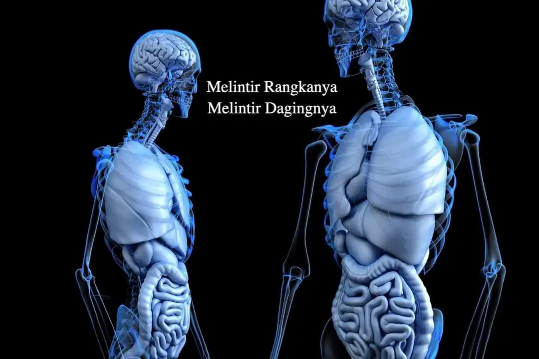 webp_Tipologi Kenceng Kendor Melintir Kombinasi Dalam PAZ Al Kasaw